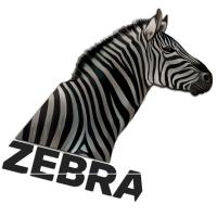 Интерьерный шоу-рум "Зебра"